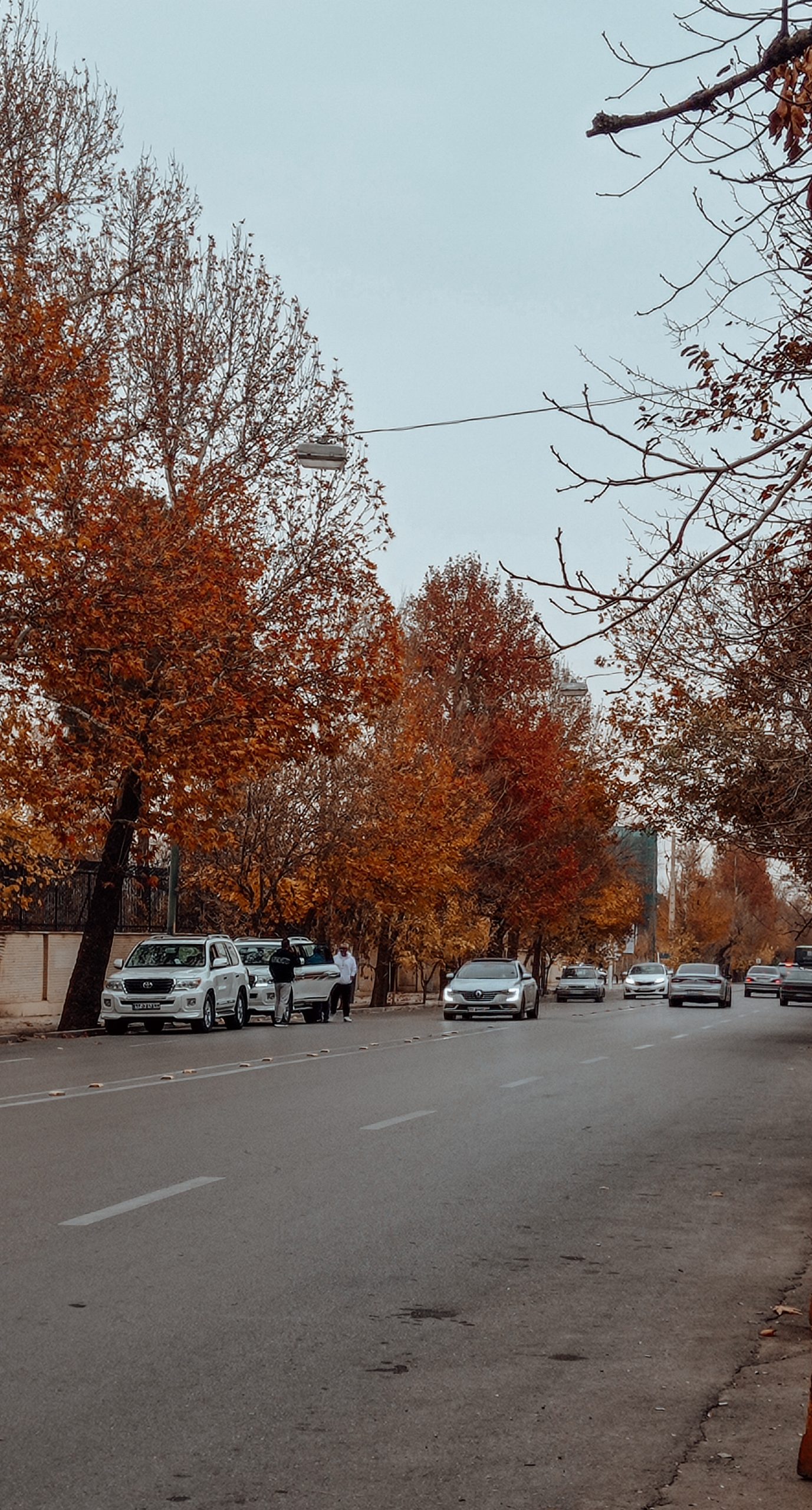 ghasrodasht street in shiraz