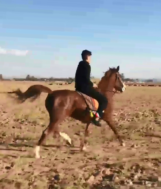 Mohammadhossein Askarian ride a horse